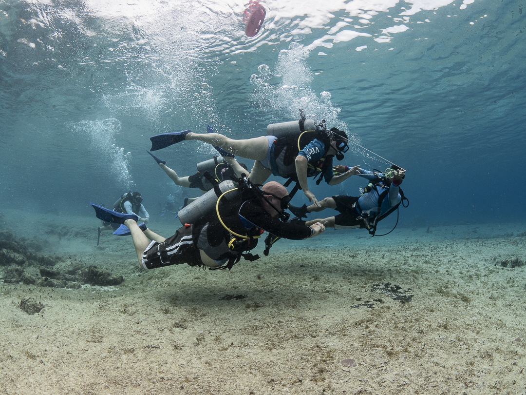 6 Dives Scuba Diving Packages in Havelock Island — scuba diving in Havelock Island, Andaman