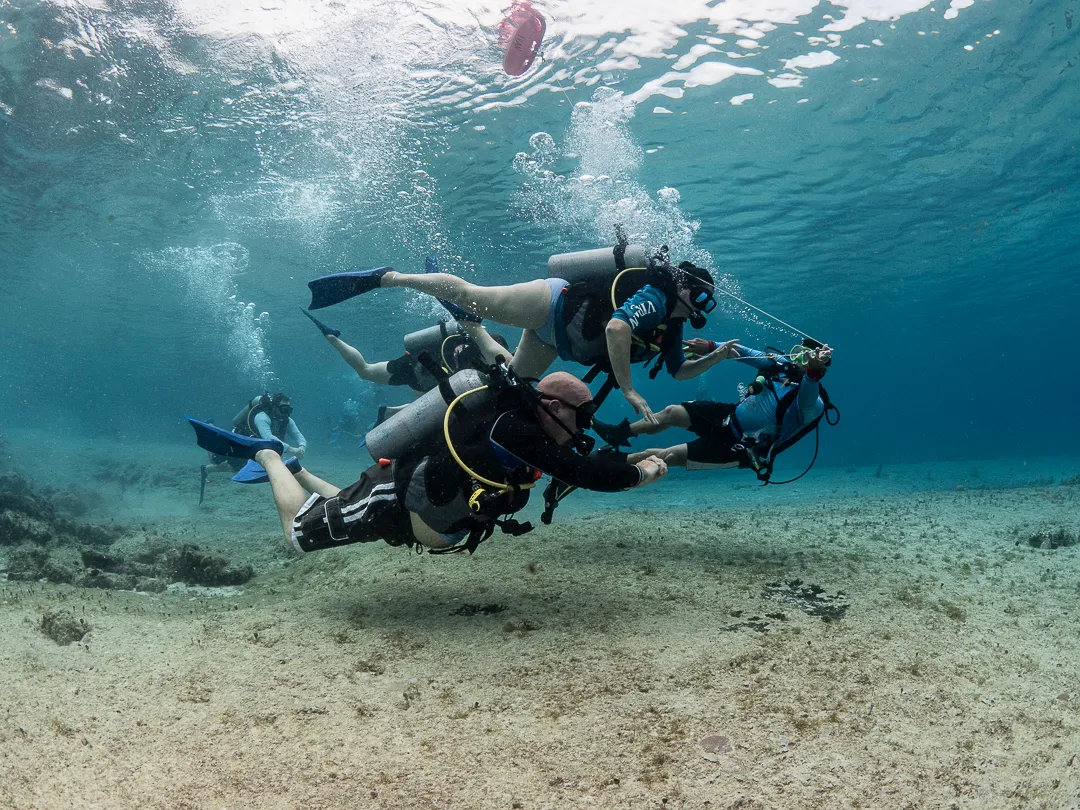6 Dives Scuba Diving Packages in Havelock Island — scuba diving in Havelock Island, Andaman