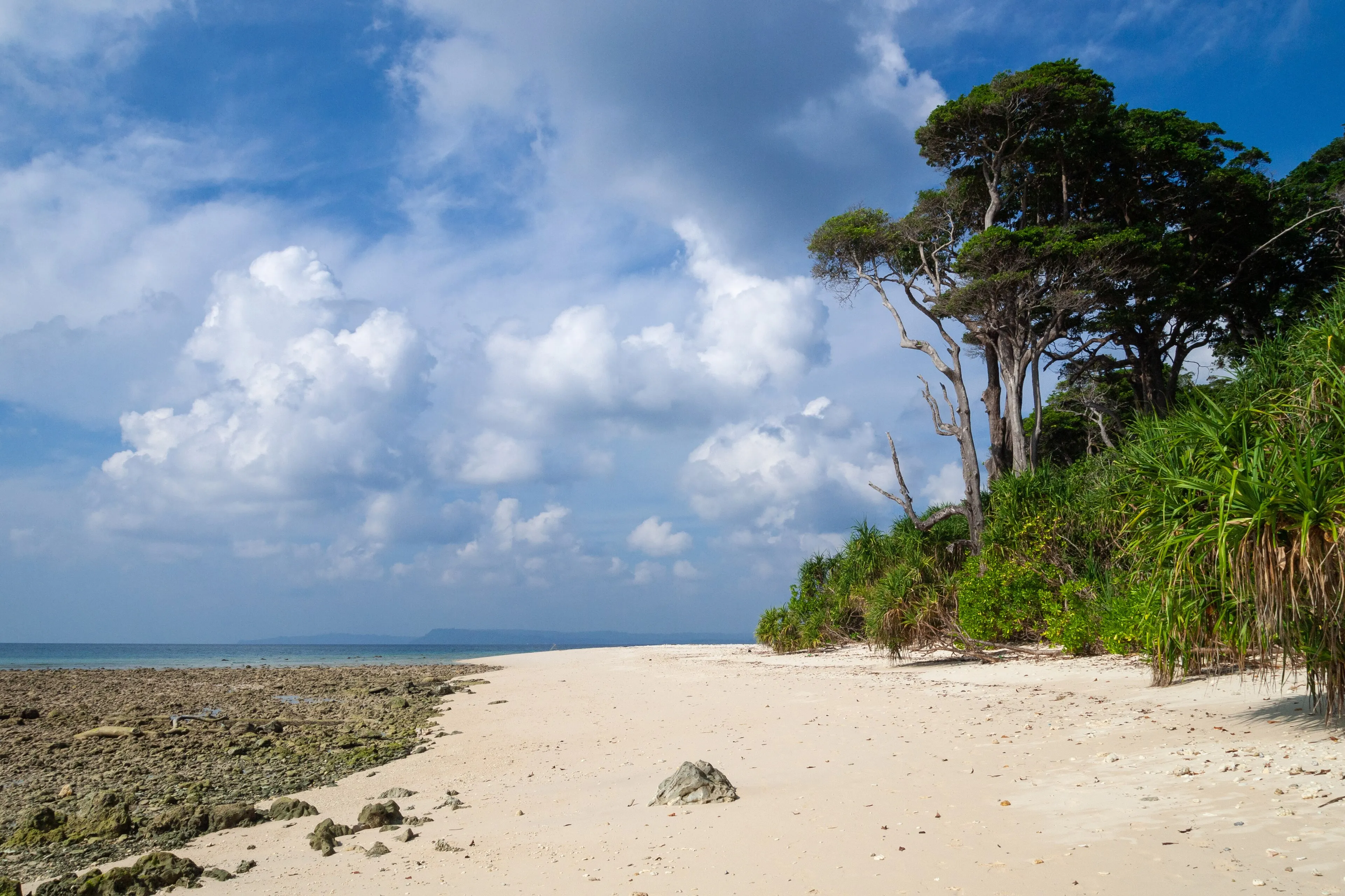 Boat Diving At Turtle Beach (DSD - PADI Program) in Havelock Island — scuba diving in Havelock Island, Andaman