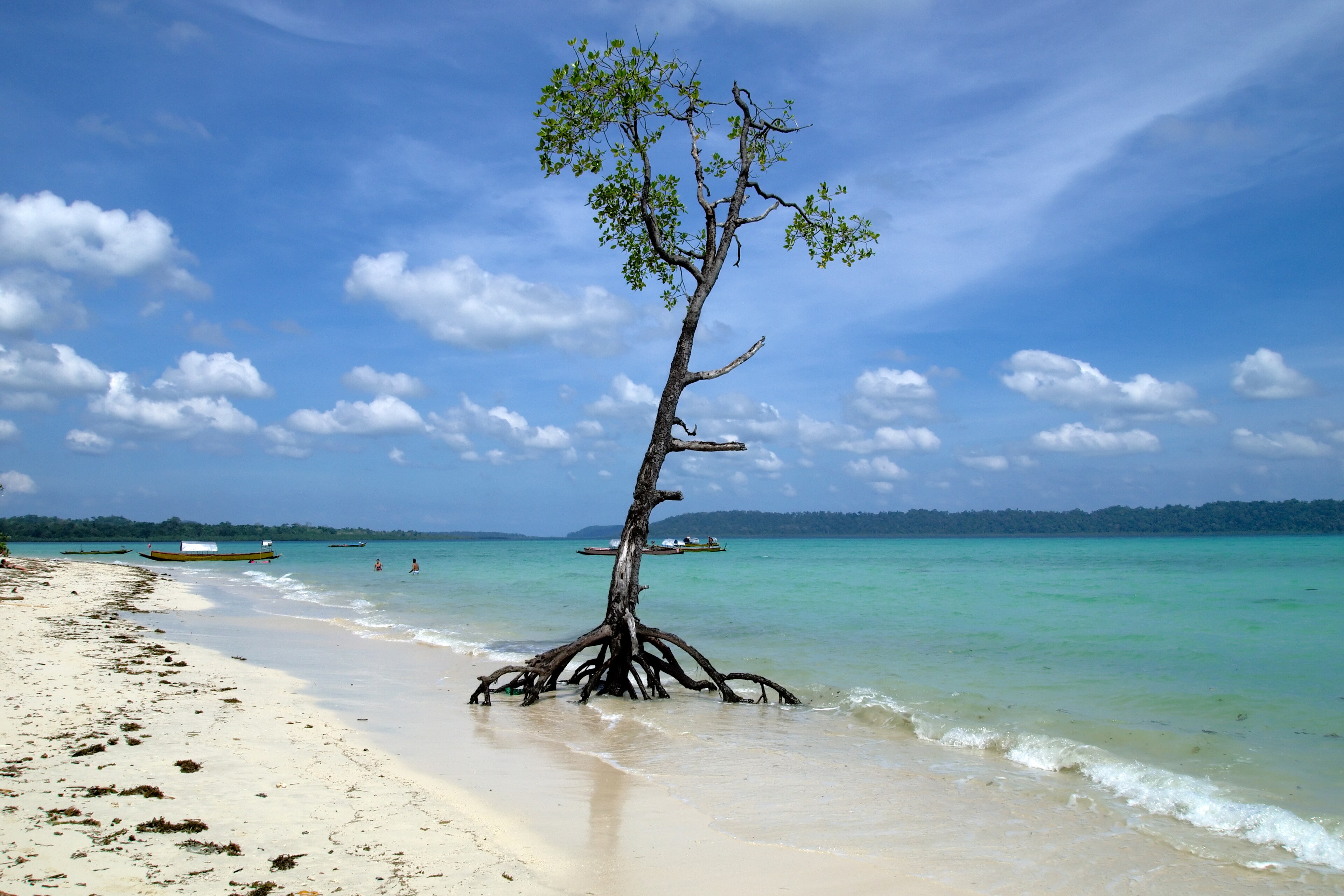 Boat Dive Specialty in Havelock Island For 2 Dives — scuba diving in Havelock Island, Andaman