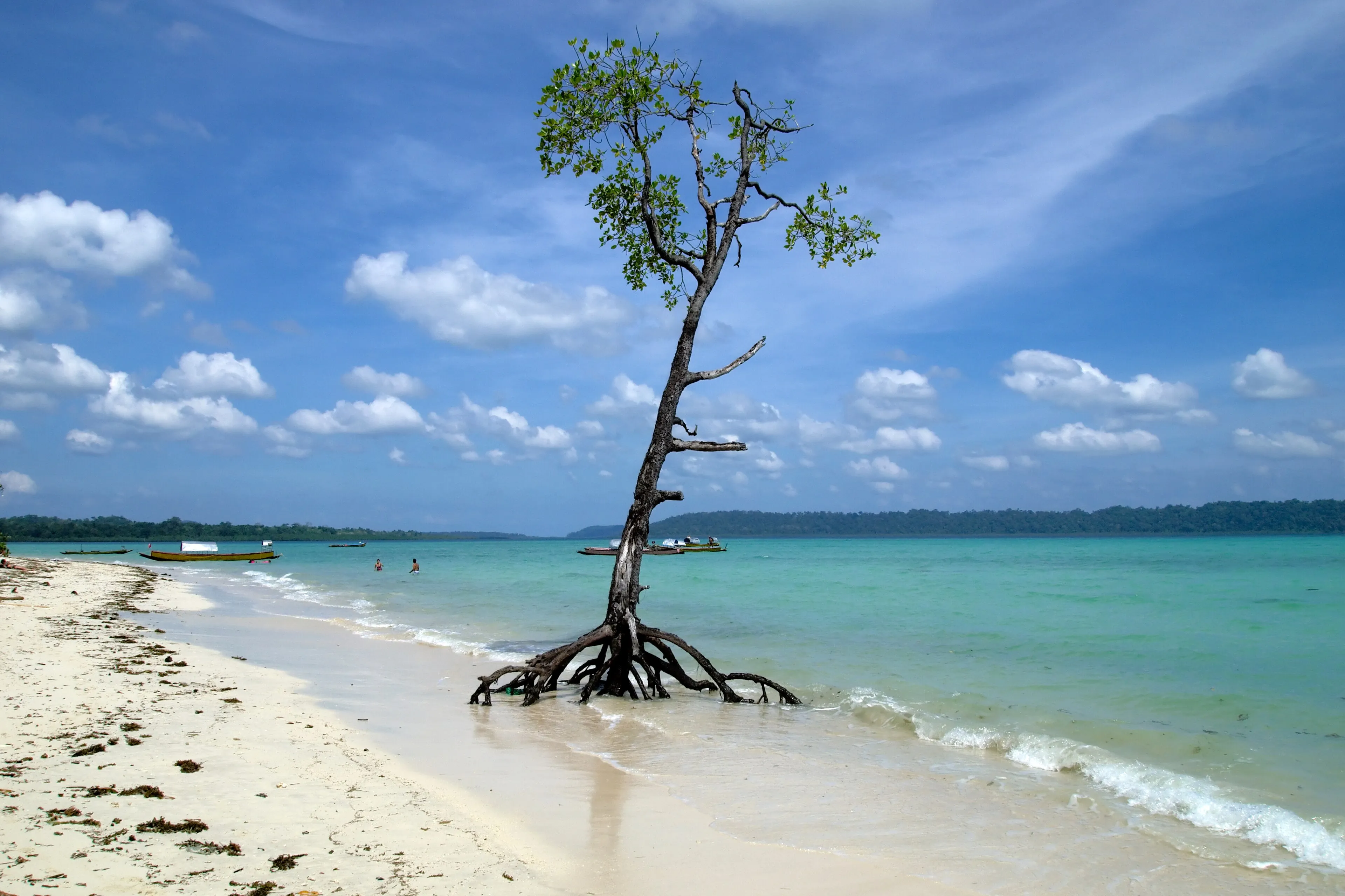 PADI Discover Scuba Diving — PADI course in Havelock, Andaman