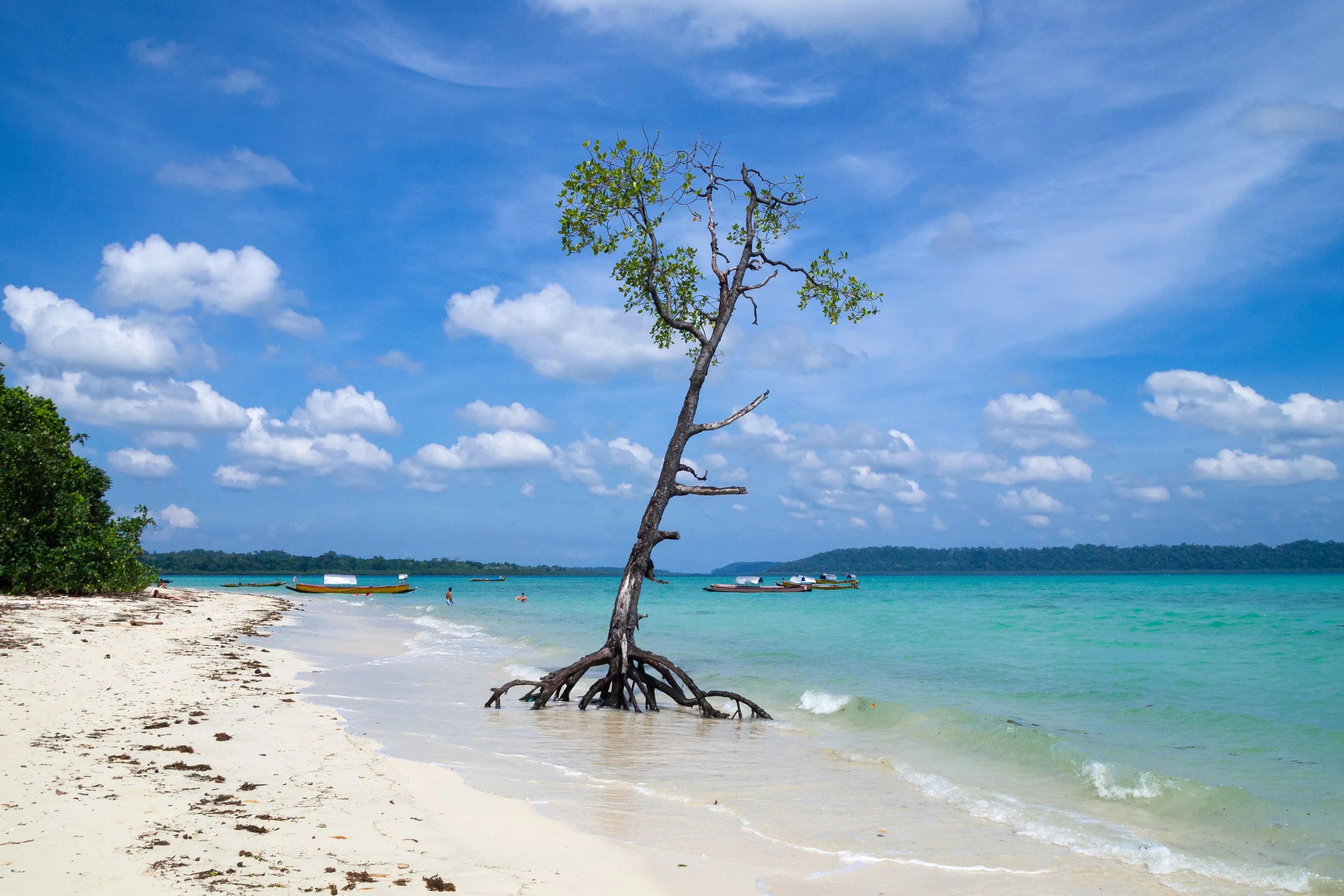Dive Andaman centre on Beach No. 2, Govind Nagar, Havelock Island