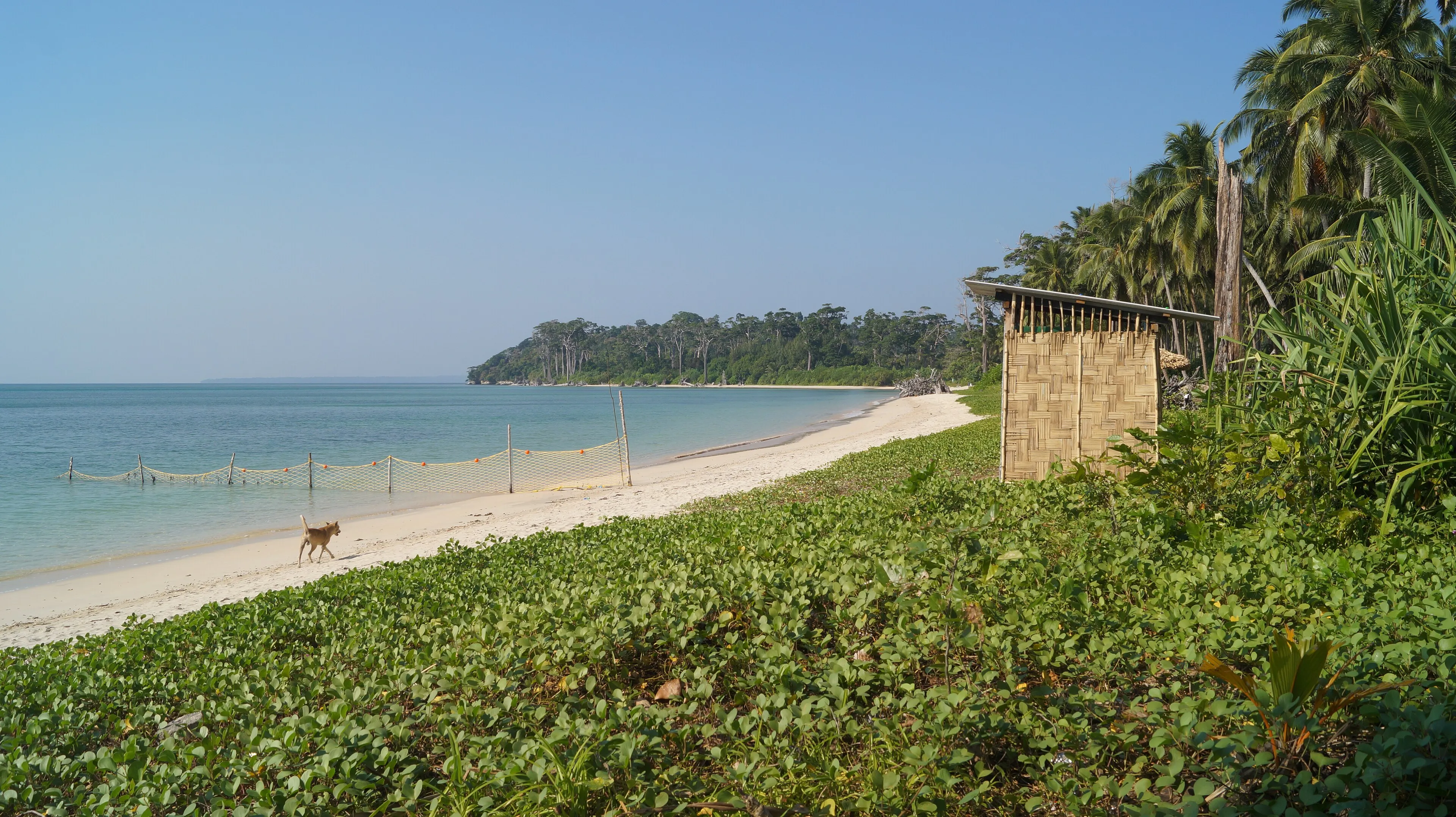 PADI Digital Underwater Photographer Course — PADI course in Havelock, Andaman