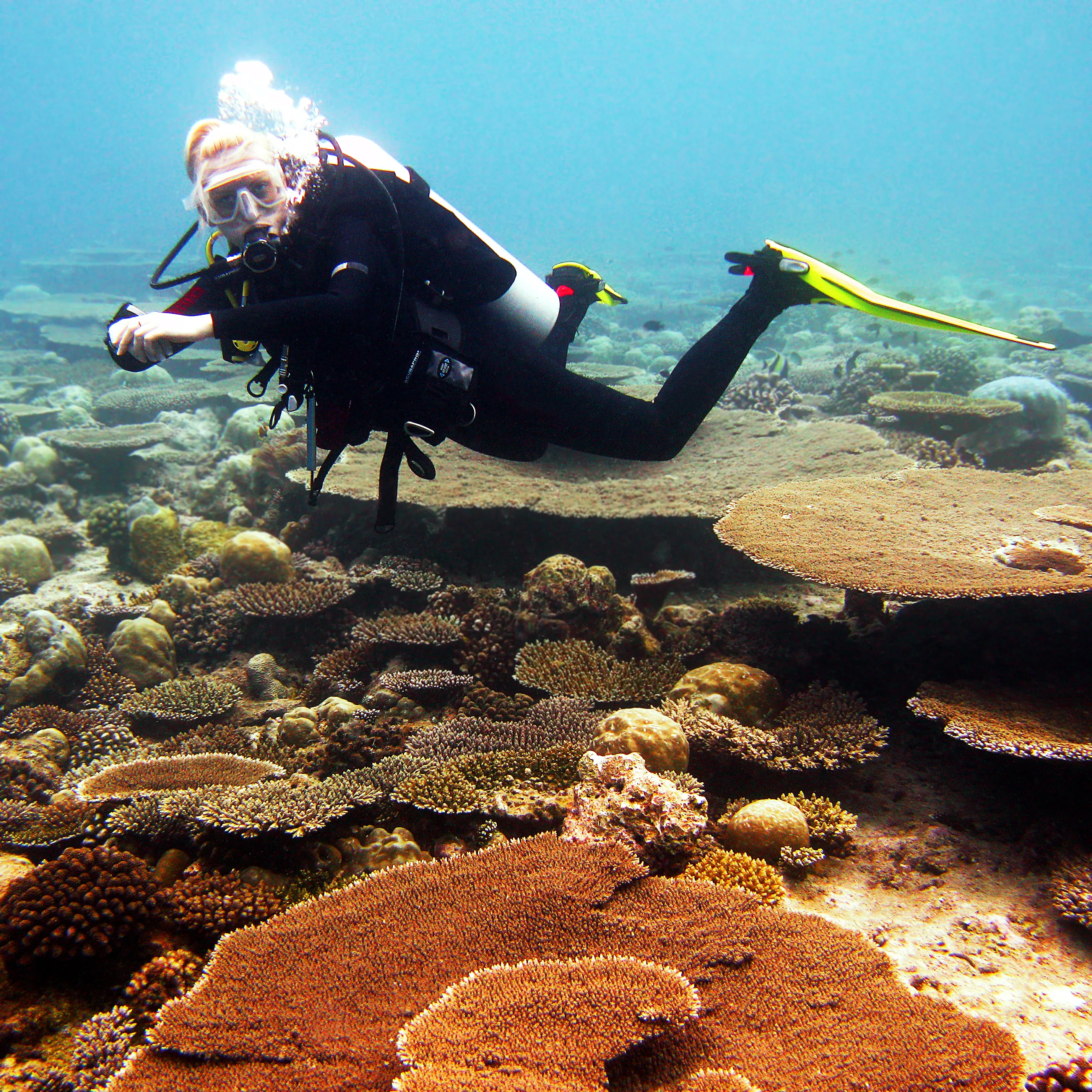 PADI Enriched Air (Nitrox) Diver Course — PADI course in Havelock, Andaman