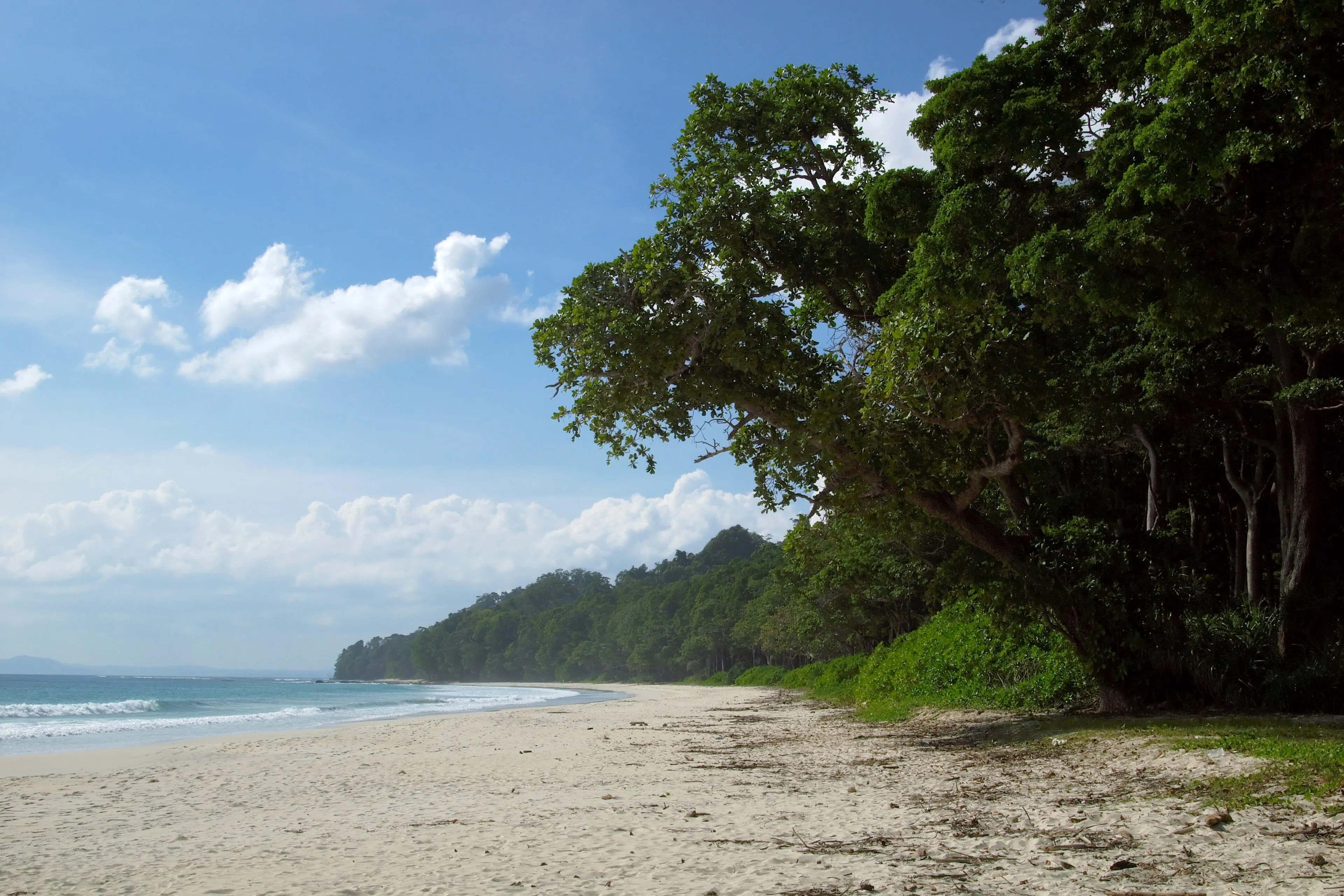 PADI Master Instructor Course — PADI course in Havelock, Andaman