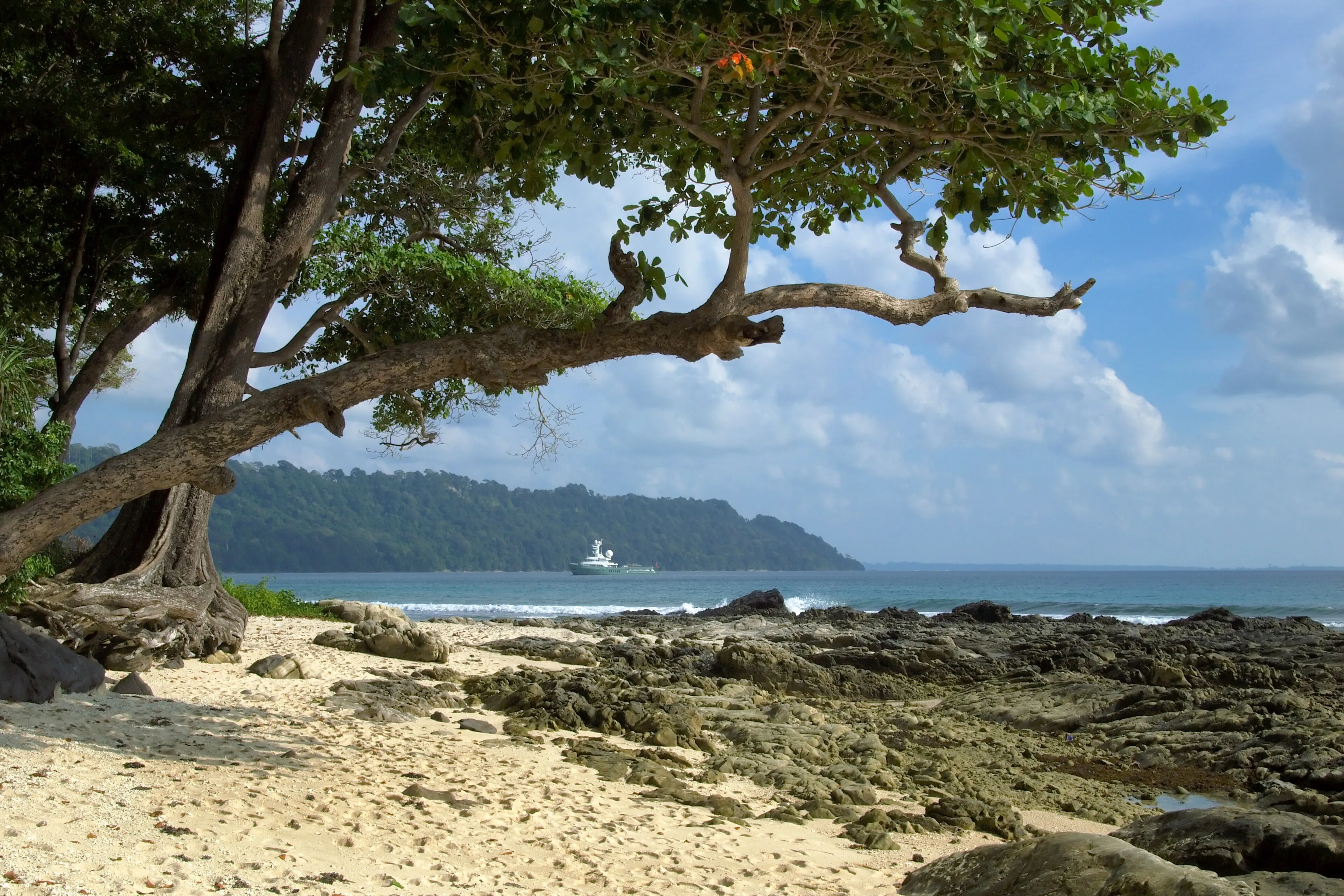 PADI Project AWARE Course — PADI course in Havelock, Andaman