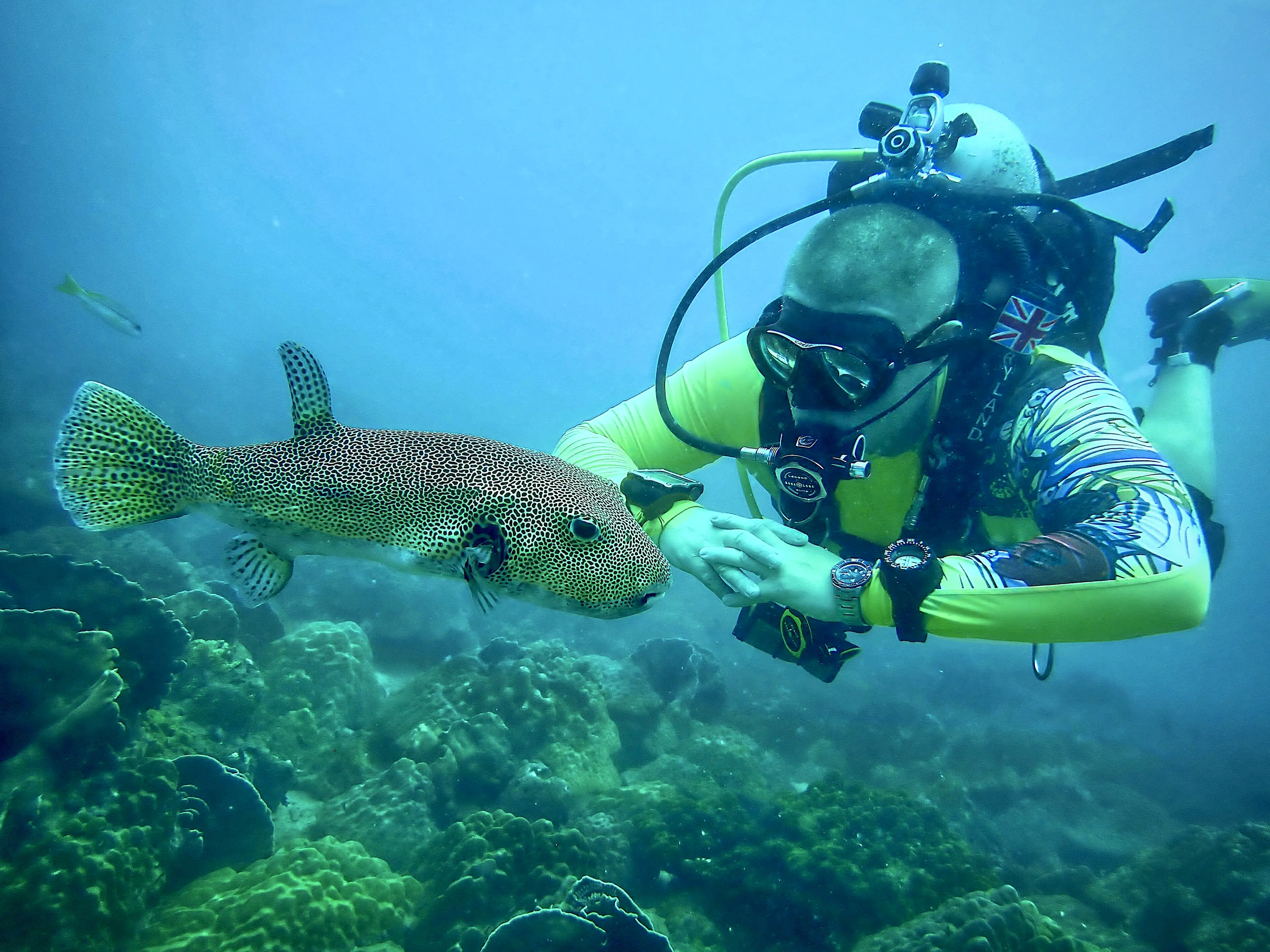 PADI Rescue Diver Course — PADI course in Havelock, Andaman