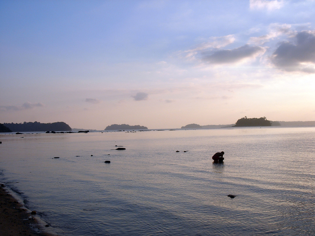 Coral reef and marine life in the waters of Havelock, Andaman