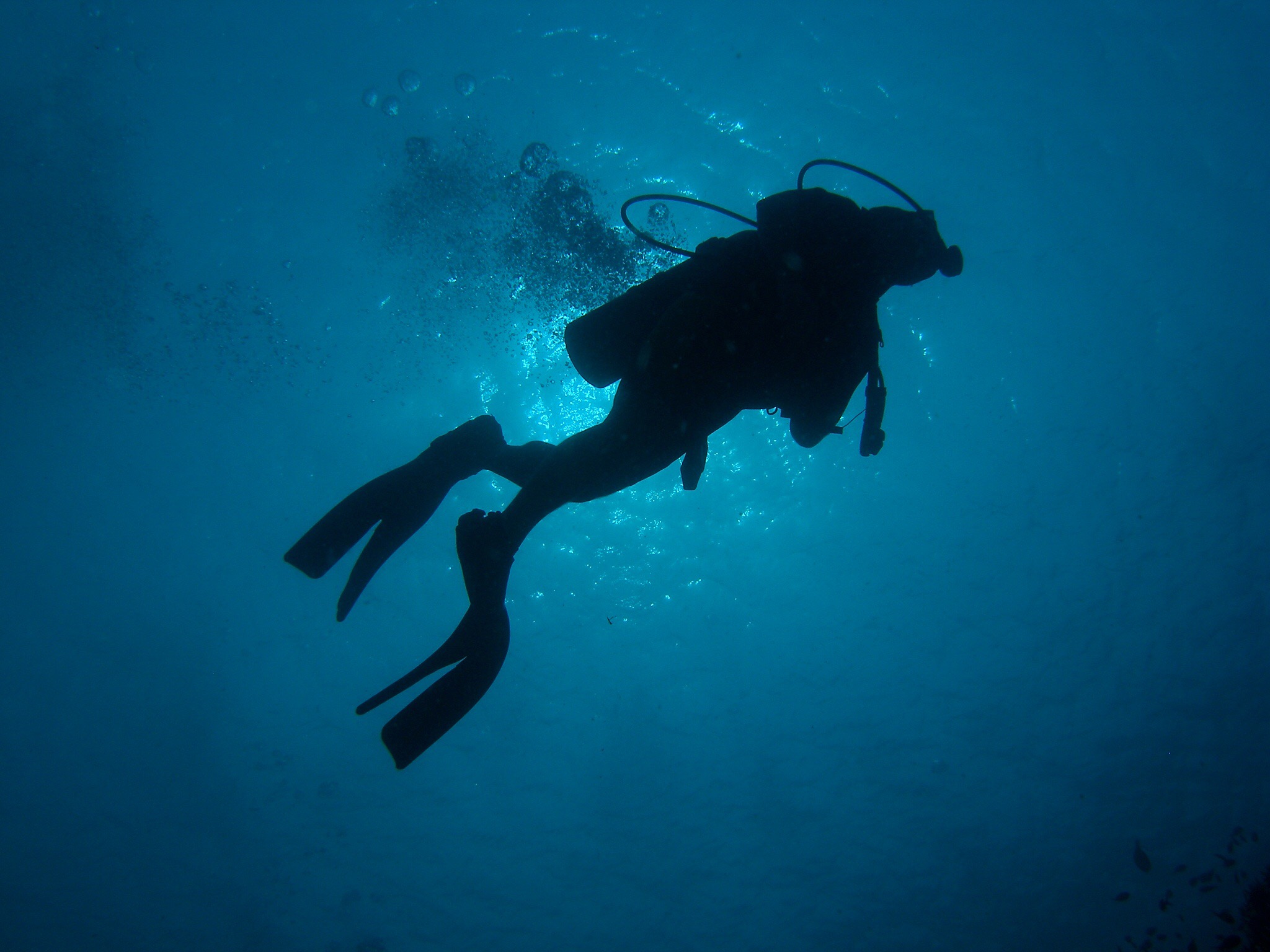 Shore Dive (Discover Scuba Dive, PADI Program) in Havelock Island — scuba diving in Havelock Island, Andaman