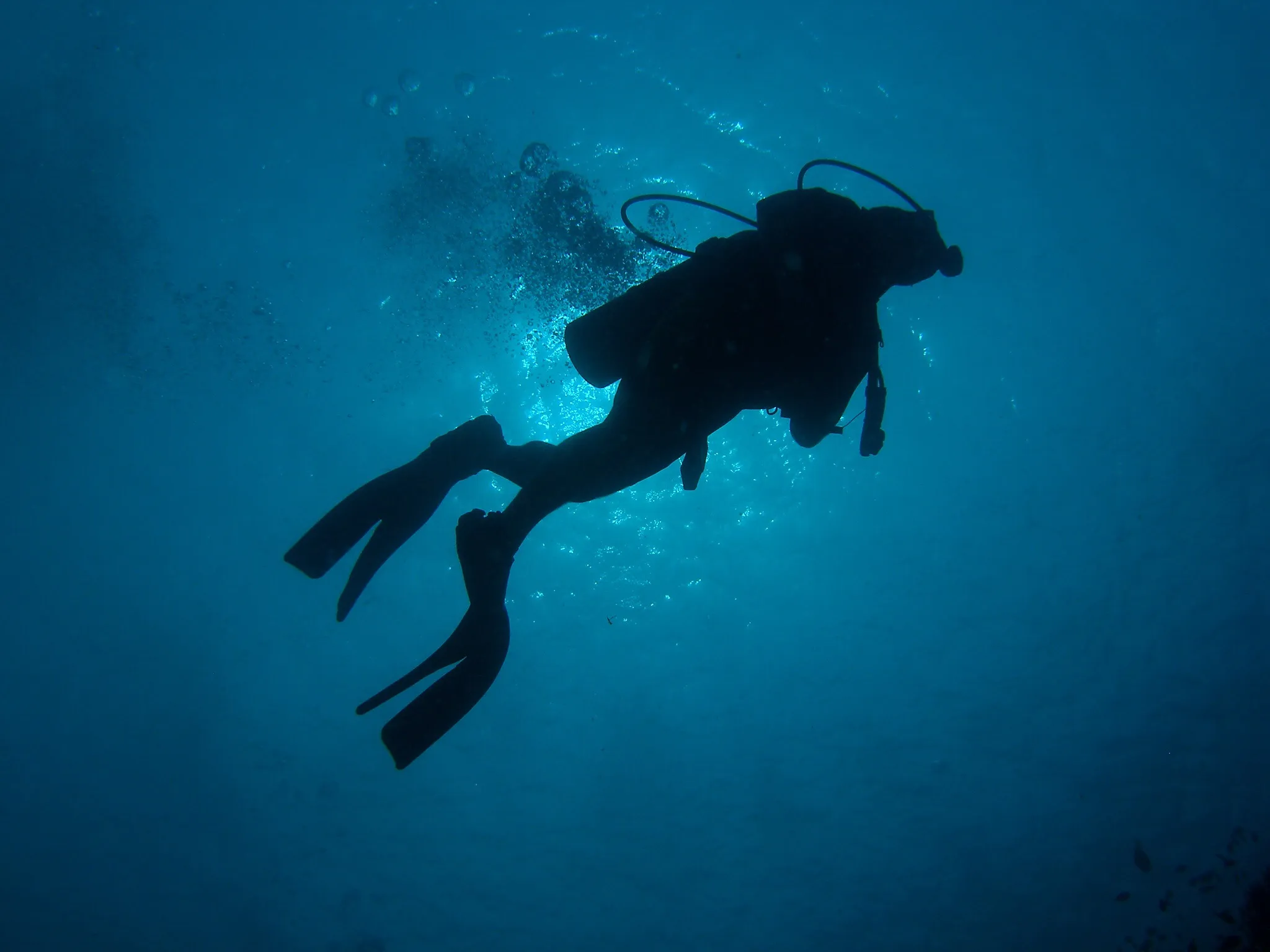 Shore Dive (Discover Scuba Dive, PADI Program) in Havelock Island — scuba diving in Havelock Island, Andaman