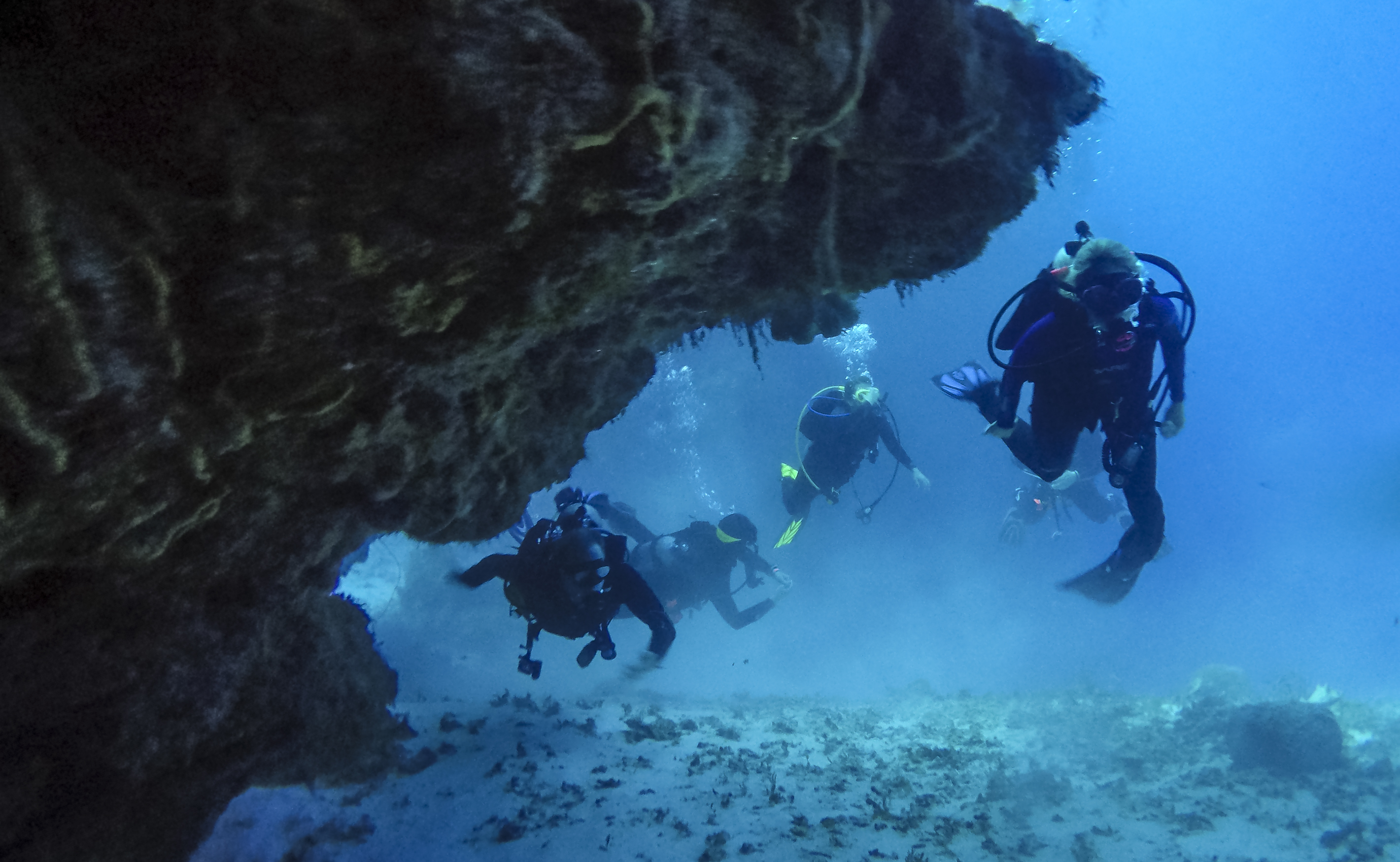 Snorkelling And Picnic Trip To Turtle Beach On Sharing Basis — scuba diving in Havelock Island, Andaman
