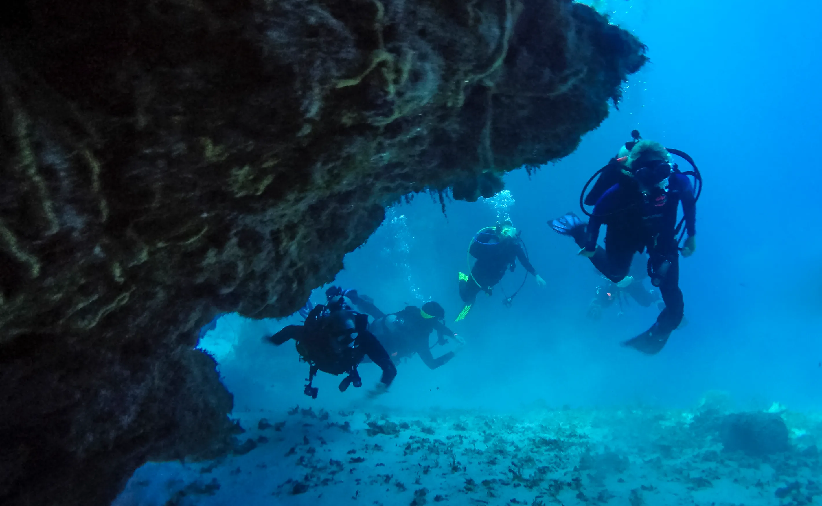 Snorkelling And Picnic Trip To Turtle Beach On Sharing Basis — scuba diving in Havelock Island, Andaman
